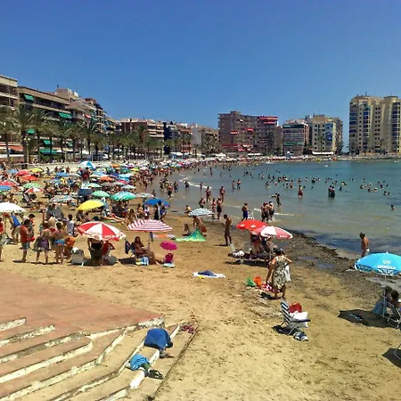 Homely Zammit Apartamento Torrevieja